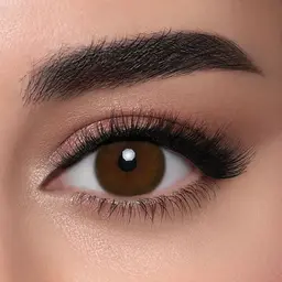 Lensme Power Contact Lenses La Bella (Power -1.75) - Pack of One Lens